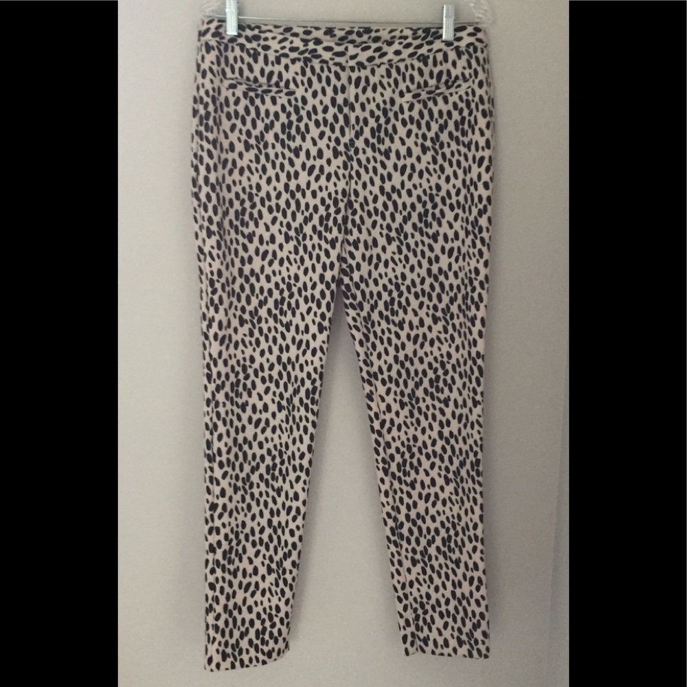 Bar III Animal Print Pants